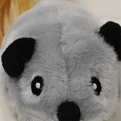 Pawzy Jouet électronique souris pour chat