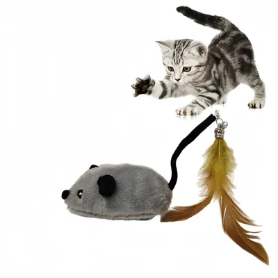 Pawzy Jouet électronique souris pour chat