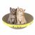 FurryFusion Boîte à griffes pour chat en forme de bol