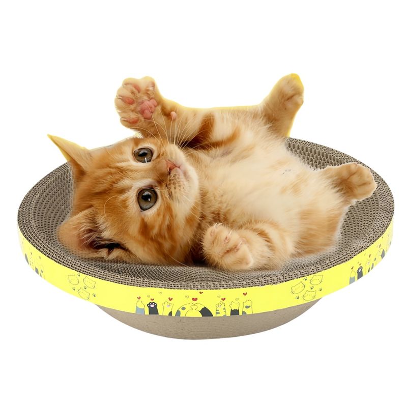 FurryFusion Boîte à griffes pour chat en forme de bol