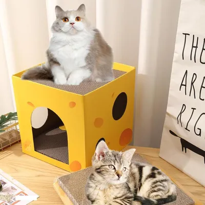 Pawzy Grattoir chat pliable - 2 niveaux carton (35*35*35cm) Pawzy Grattoir chat pliable - 2 niveaux carton (35*35*35cm)