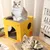 Pawzy Grattoir chat pliable - 2 niveaux carton (30*30*30cm)