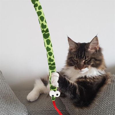 Pawzy Baton de distraction en forme de serpent aux gros yeux