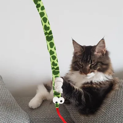 Pawzy Baton de distraction en forme de serpent aux gros yeux