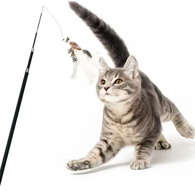 Pawzy Baton pour divertir les chats