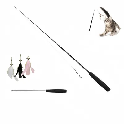 Pawzy Baton pour divertir les chats