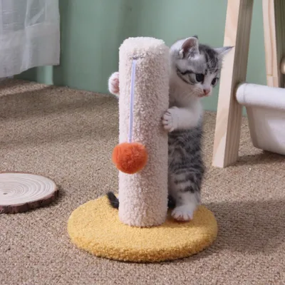 Zoomtopia Poteau de grattage pour chat