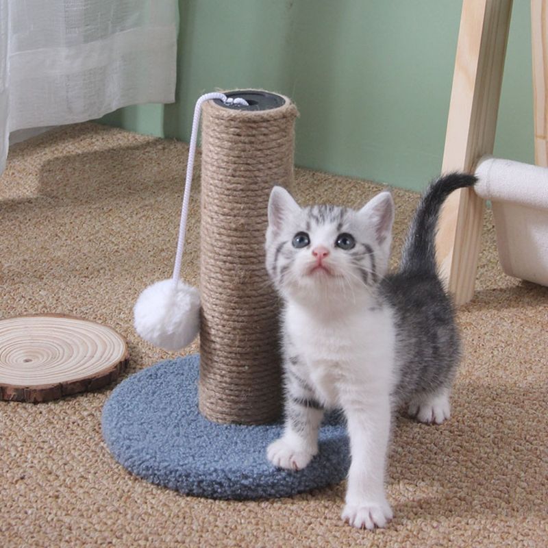 Zoomtopia Poteau de grattage pour chat