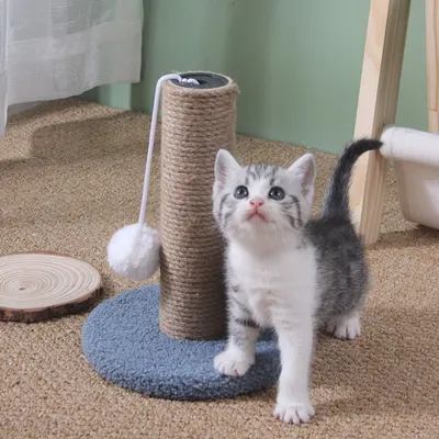 Zoomtopia Poteau de grattage pour chat
