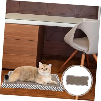 Pawzy Griffoir carton pour chat - Surface extra résistante