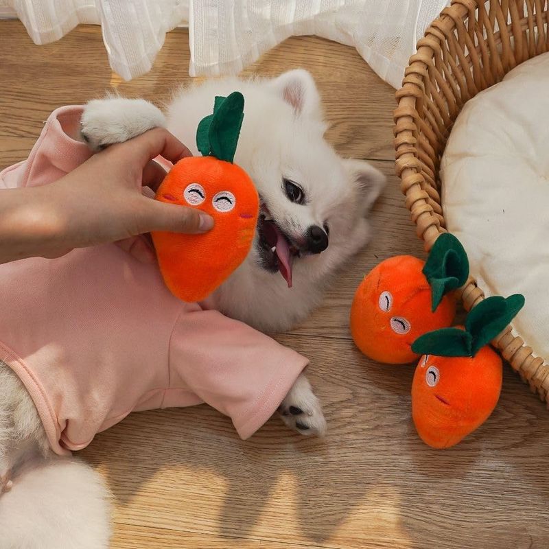 Pawzy Jouets carottes, adaptés aux chats et aux chiens, 3 pièces