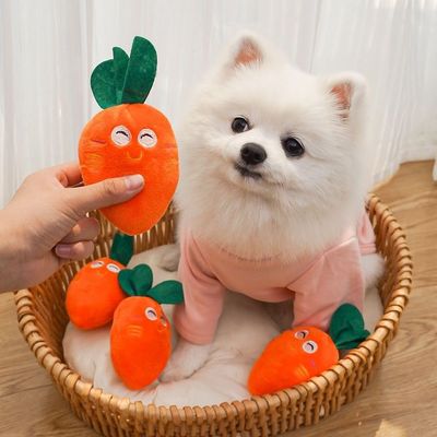 Pawzy Jouets carottes, adaptés aux chats et aux chiens, 3 pièces