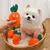 Pawzy Jouets carottes, adaptés aux chats et aux chiens, 3 pièces
