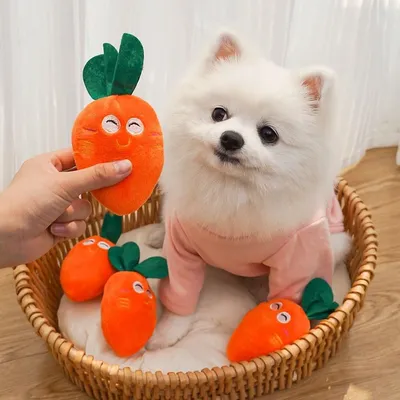 Pawzy Jouets carottes, adaptés aux chats et aux chiens, 3 pièces