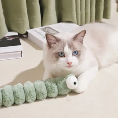 Zoomtopia Peluche chat