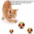 Pawzy Balle de jeu pour chats