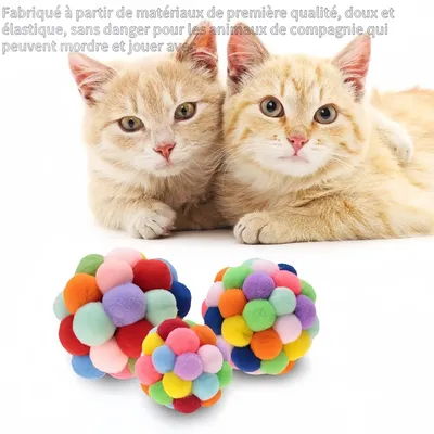 Pawzy Balle de jeu pour chats