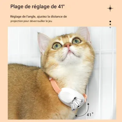 ZooVenture Collier jouet pour chats