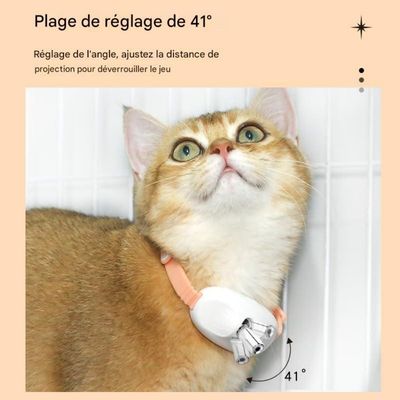 ZooVenture Collier jouet pour chats