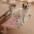 Zoomtopia Lit suspendu pour chat