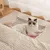 Pawzy Hamac radiateur pour chat - Support 10 kg, montage facile