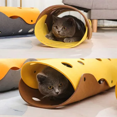 Pawzy Tunnel en feutre pour chat - jouet interactif pliable