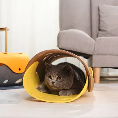 Pawzy Tunnel en feutre pour chat - jouet interactif pliable
