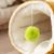 FurryFusion Tunnel pour chat Maison pour chat
