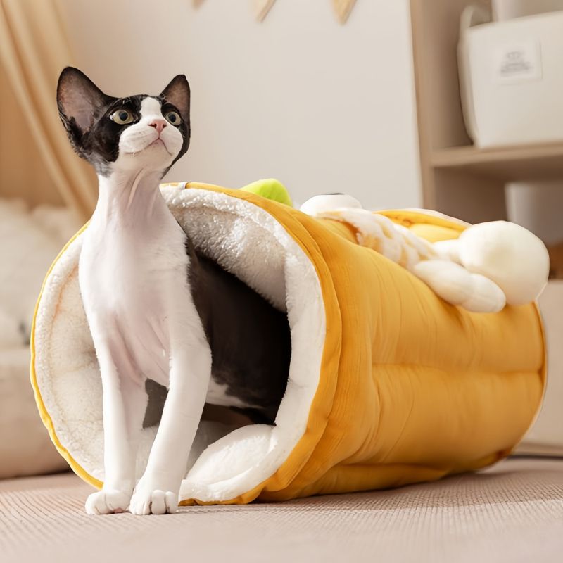 FurryFusion Tunnel pour chat Maison pour chat