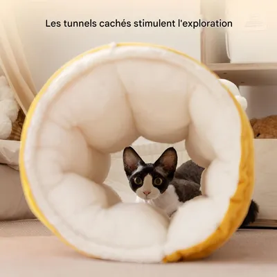 FurryFusion Tunnel pour chat Maison pour chat