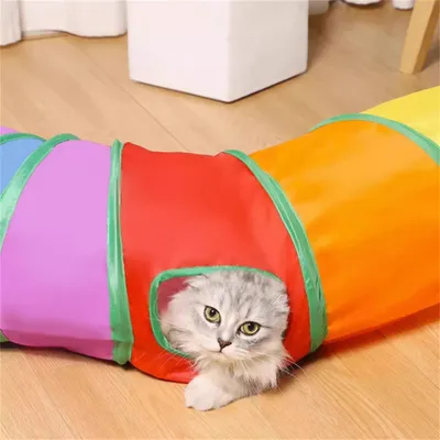 Pawzy Jouet tunnel arc-en-ciel pour chat