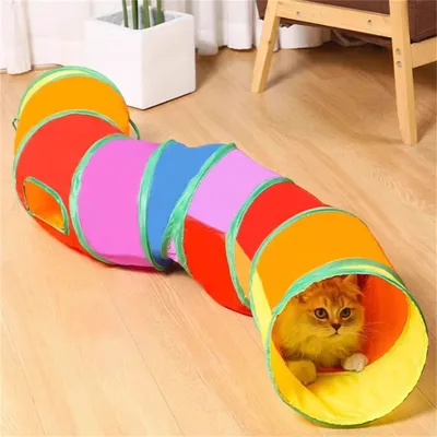 Pawzy Jouet tunnel arc-en-ciel pour chat