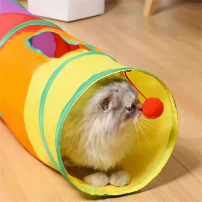 Pawzy Jouet tunnel arc-en-ciel pour chat
