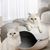 Zoomtopia Lit pour chat