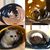 Pawzy Tunnel en feutre pour chat - jouet interactif pliable