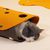 Pawzy Tunnel en feutre pour chat - jouet interactif pliable