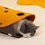 Pawzy Tunnel en feutre pour chat - jouet interactif pliable