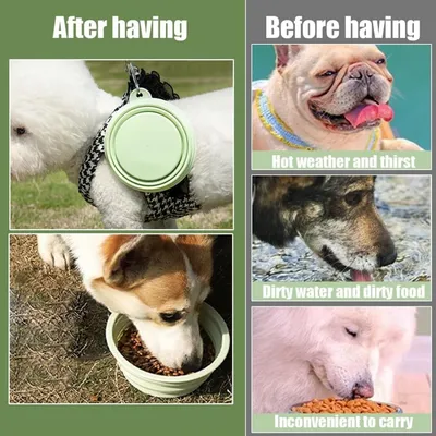 Pawzy Gamelle de voyage pliable pour chats et chiens