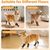 Pawzy Chaussettes anti - glissement pour chiens