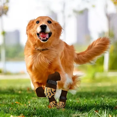 Pawzy Chaussettes anti - glissement pour chiens