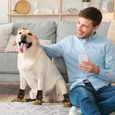 Pawzy Chaussettes anti - glissement pour chiens