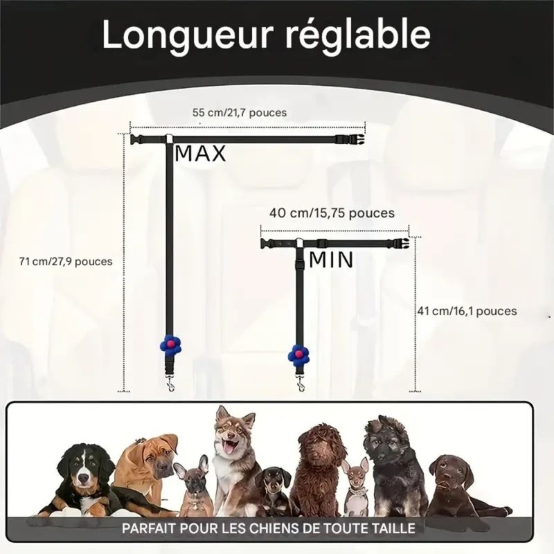 Zoomtopia Harnais de sécurité pour chien