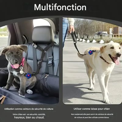Zoomtopia Harnais de sécurité pour chien