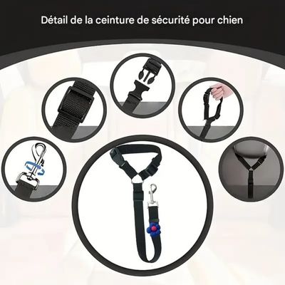 Zoomtopia Harnais de sécurité pour chien