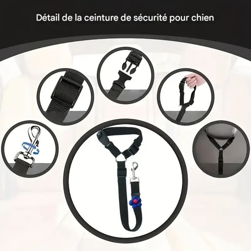Zoomtopia Harnais de sécurité pour chien