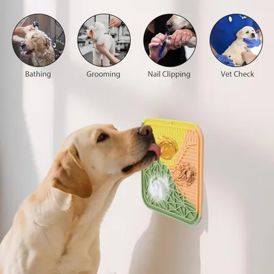 Pawzy Tapis silicone à lécher avec ventouses