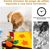 Pawzy Tapis de fouille pour chien - Stimulation mentale & olfactive