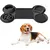 Pawzy Tapis distributeur friandises pour chien