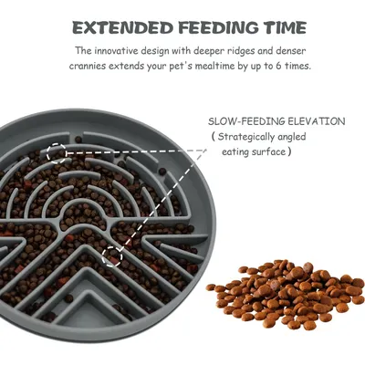 Pawzy Bol repas lent pour chien - anti-étouffement