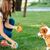 Zoomtopia Sac de rangement pour friandises canines